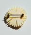 1940's Celluloid Daisy Brooch